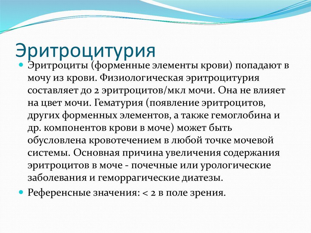 Появление эритроцитов в моче. Эритроцитурия. Эритроцитурия заболевания. Эритроцитурия что это такое у женщин. Физиологическая эритроцитурия.